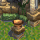 ~ Sanctuaire ~ 63/90